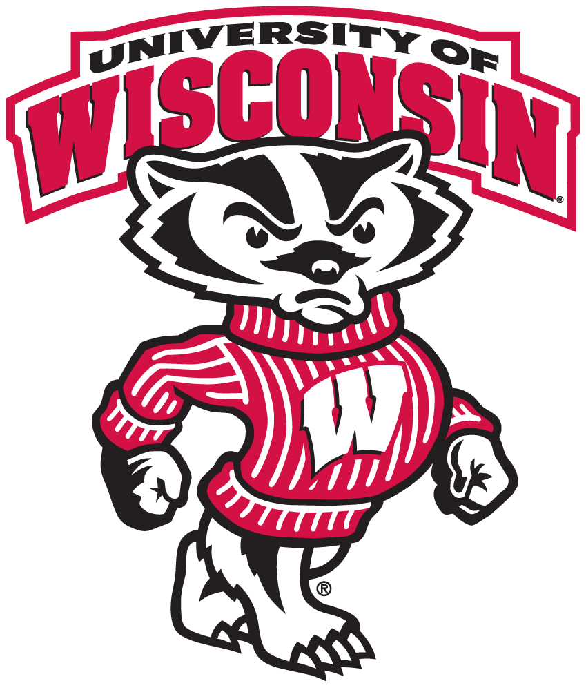 Wisconsin Badgers 2003-2017 Secondary Logo DIY iron on transfer (heat transfer)